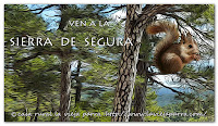 LA SIERRA DE SEGURA Y SUS PUEBLOS