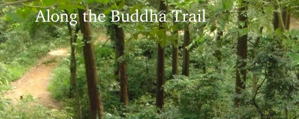      Along the Buddha Trail