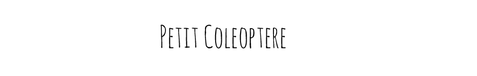   Petit Coleoptere