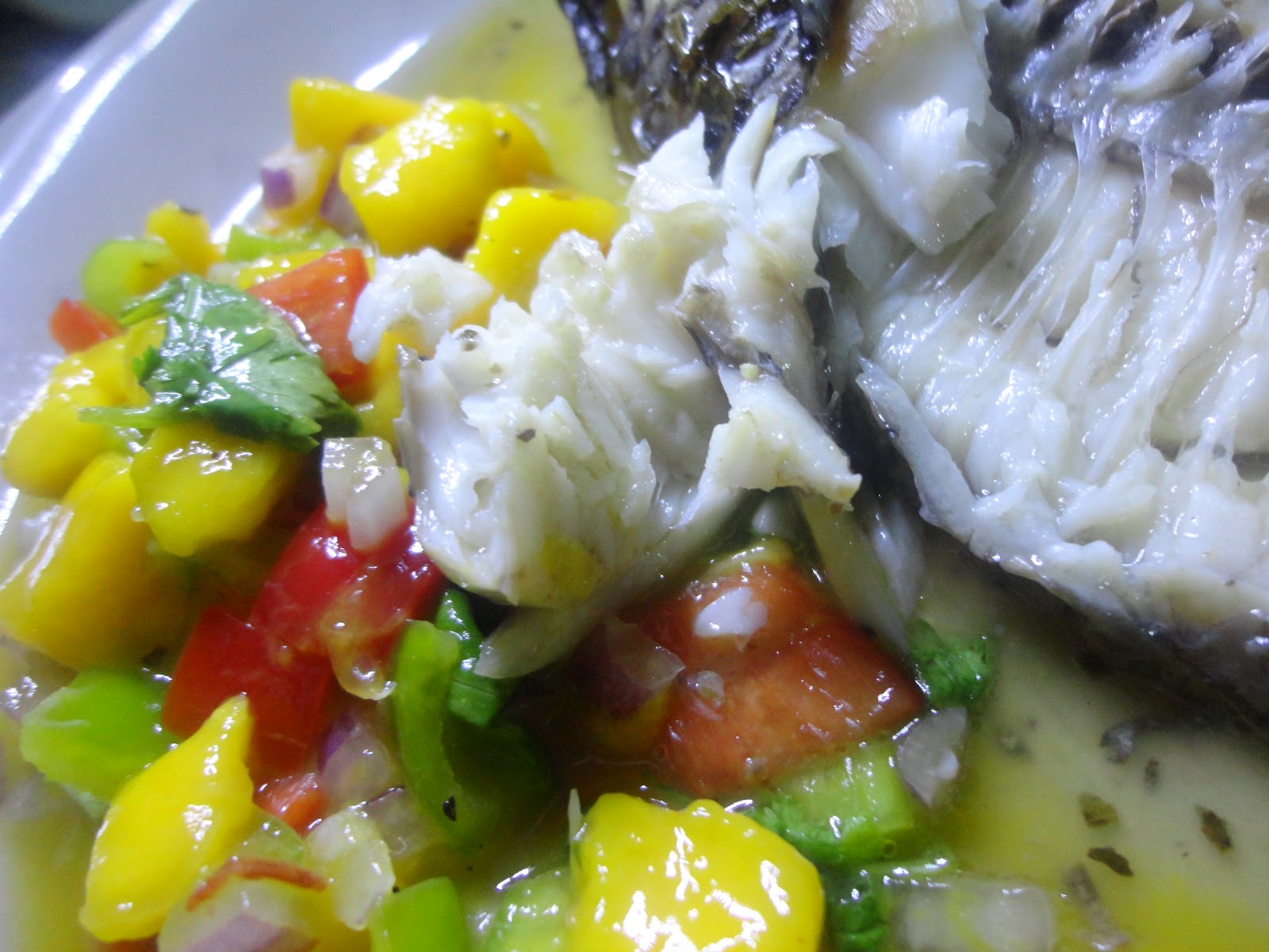 THE DENTIST IS IN THE KITCHEN BAKED Seasoned TILAPIA with MANGO SALSA