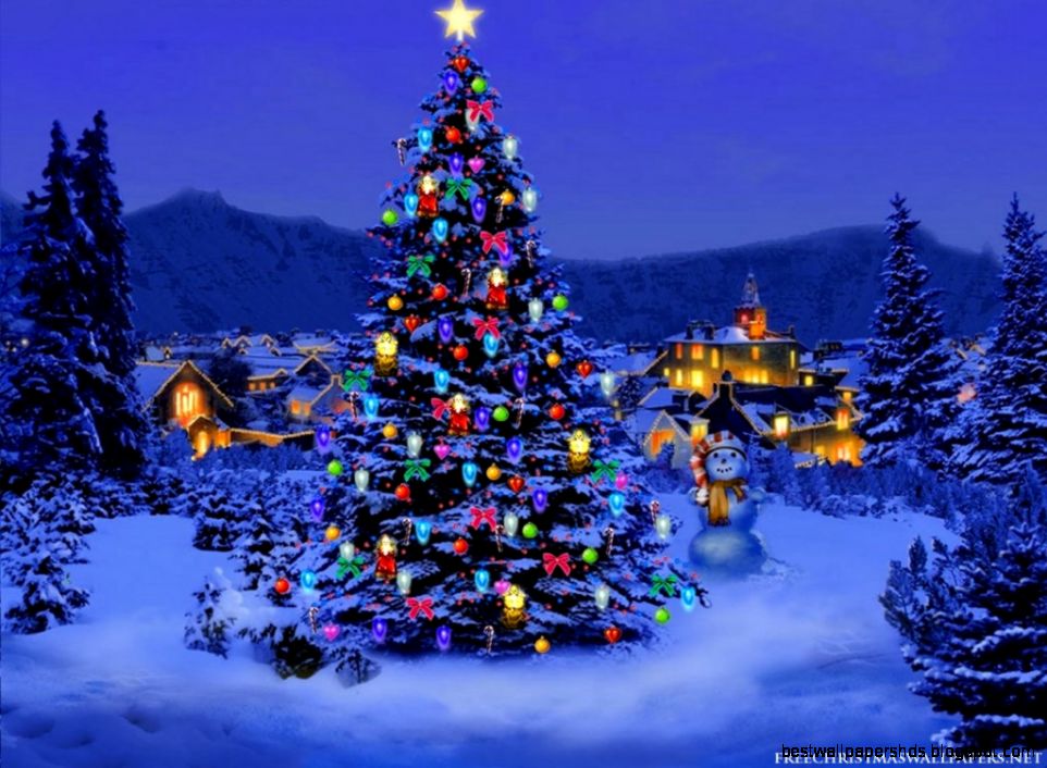 Christmas Tree Nature Wallpaper Christmas Tree Nature Wallpaper