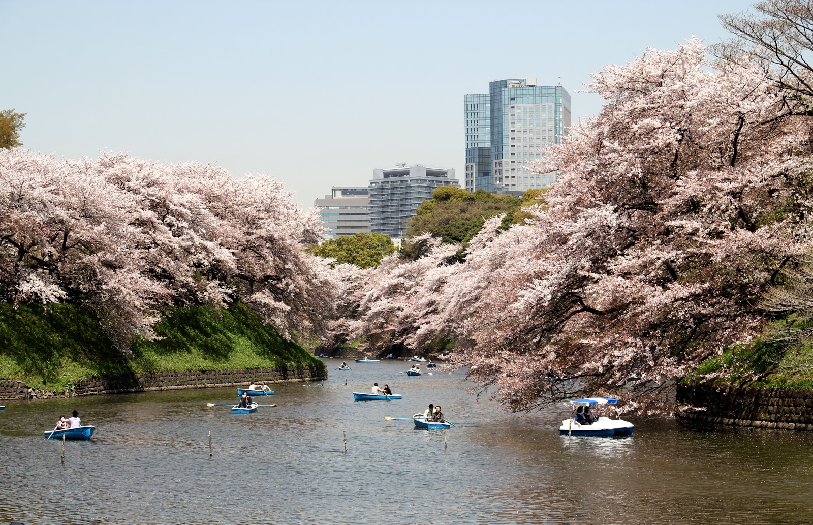 Chidorigafuchi Chidorigafuchi
