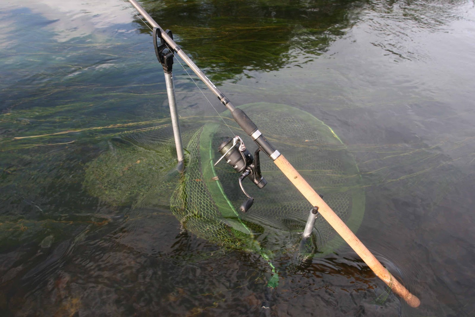 woody's angling centre