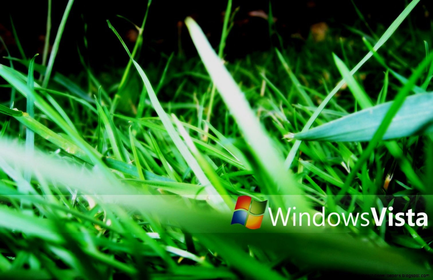 Windows Vista Wallpaper Set Awesome Wallpapers Ibackgroundzcom Windows Vista Wallpaper Set Awesome Wallpapers Ibackgroundzcom