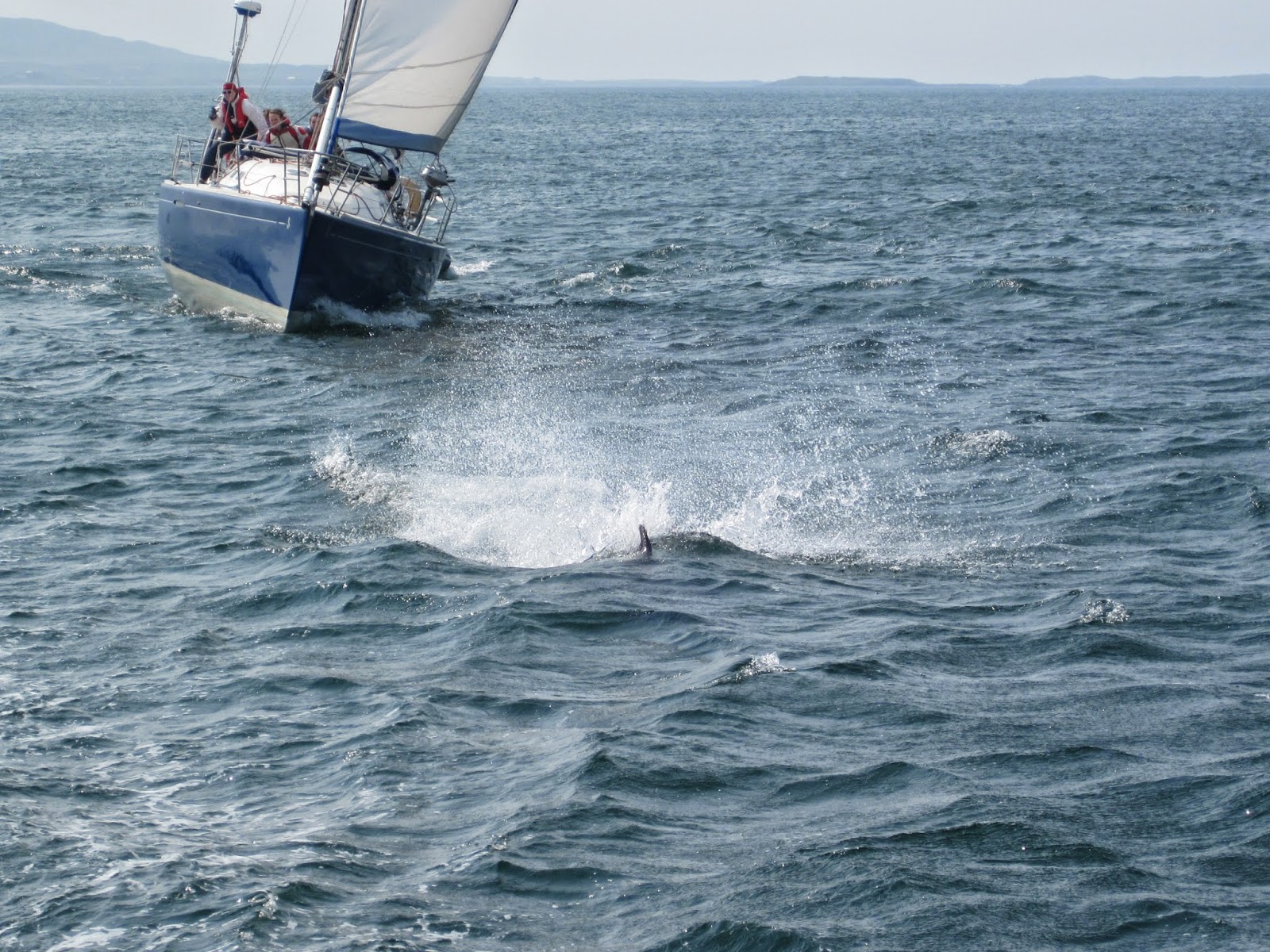 Aleria's Adventures Sailing the West Coast of Ireland