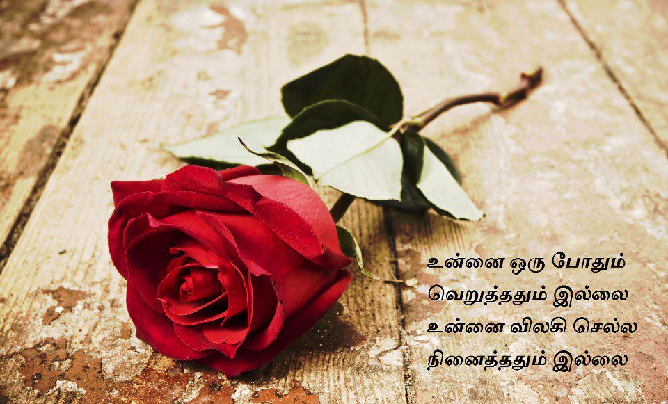 Birthday Tamil Kavithai