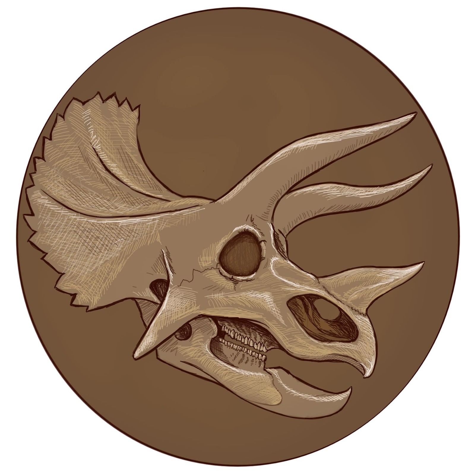 Triceratops Skull r/Dinosaurs