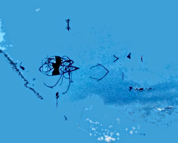 W I T C Y S T 05 01 15 06 01 15