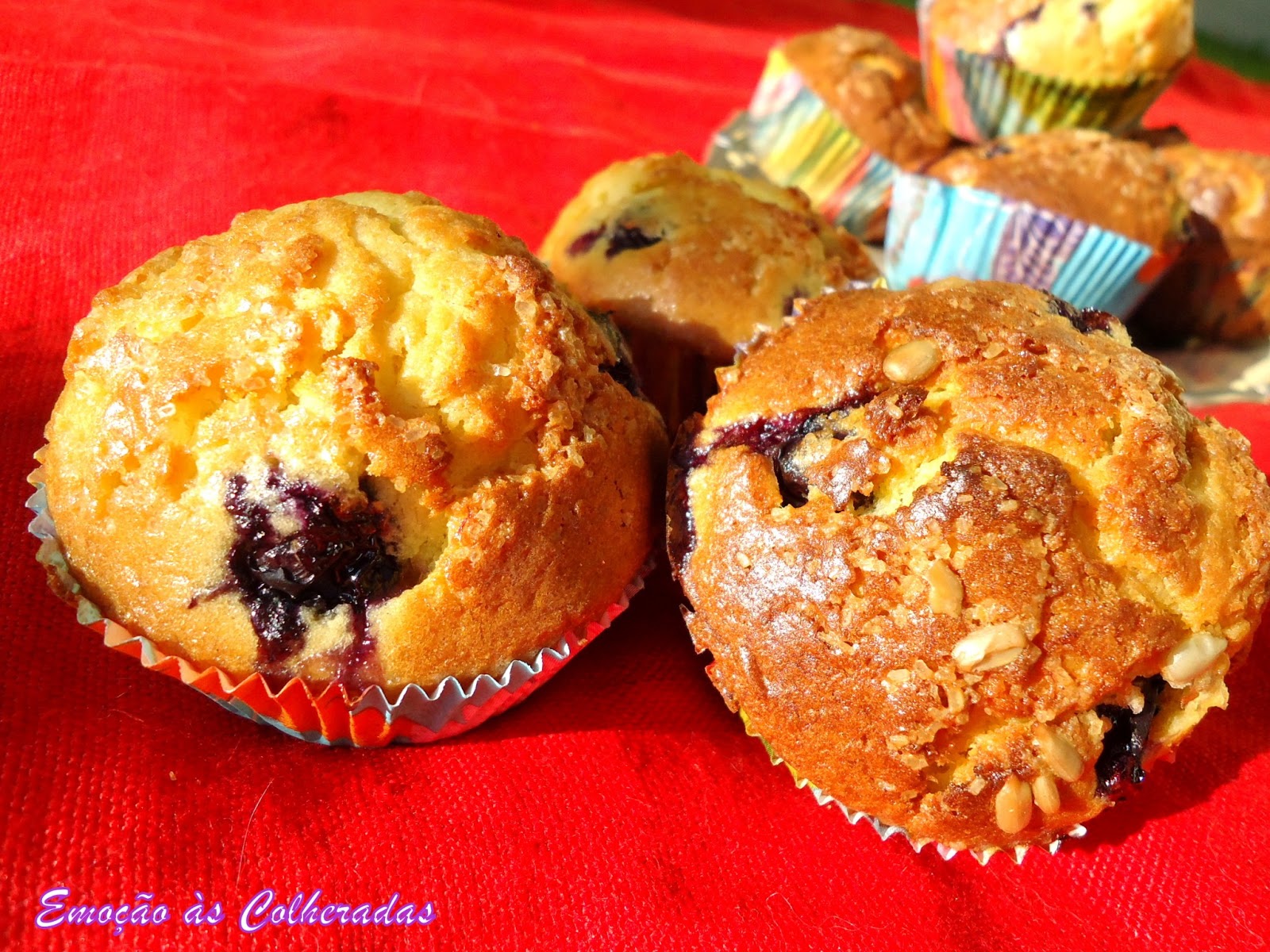 Emoção às Colheradas Muffins de Mirtilos e Banana