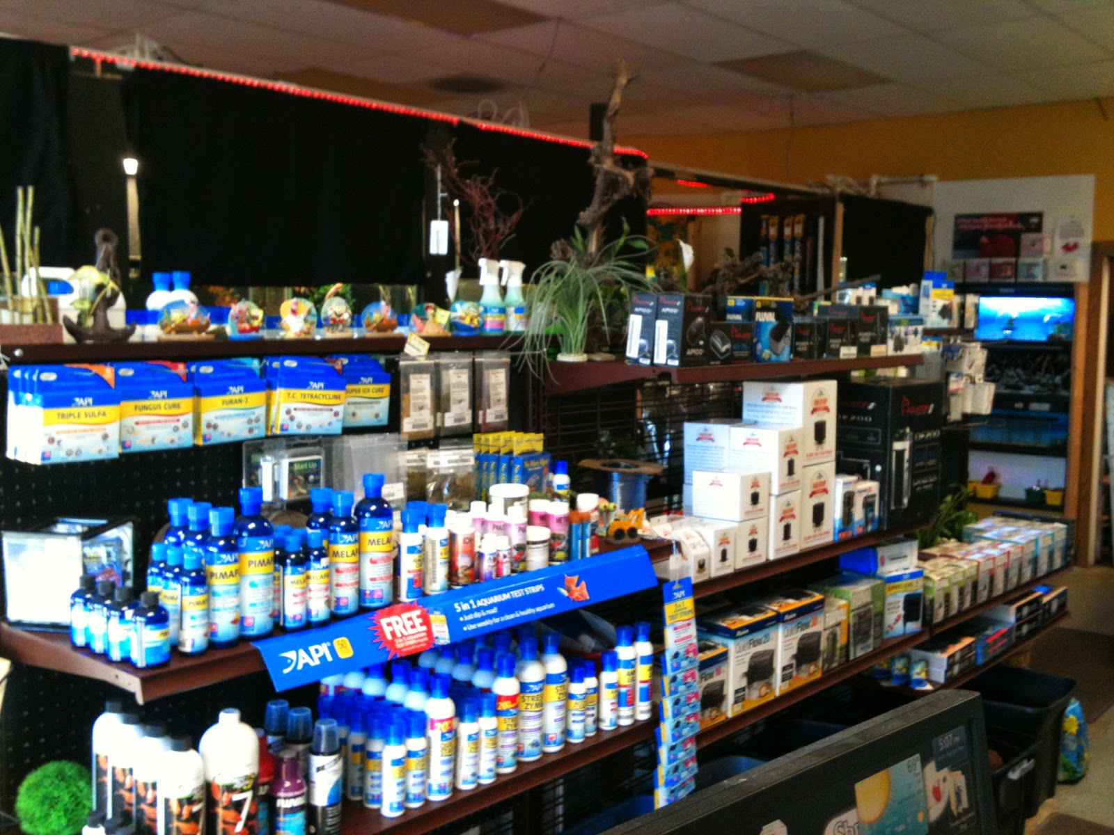 Finatics Tropical Fish Views of the New Shop