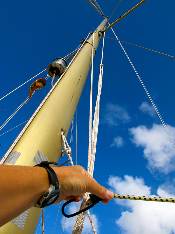 Windtraveler How to Use A Bungee Chord to Keep a Halyard From Slapping