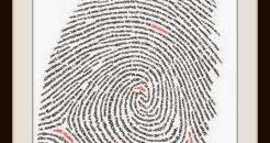 what is the biological purpose of fingerprints