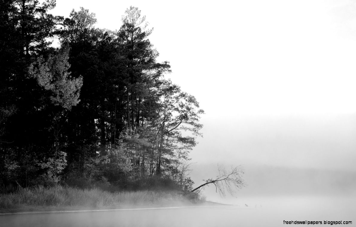 Harris Lake Black White Wallpaper 1280×800 Harris Lake Black White Wallpaper 1280×800