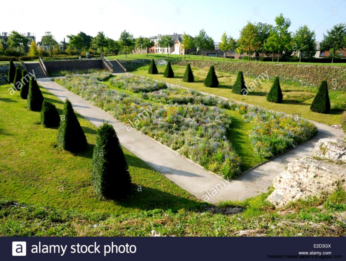 France Nord Valenciennes Alignment Of Small Pointy Trees In A France Nord Valenciennes Alignment Of Small Pointy Trees In A