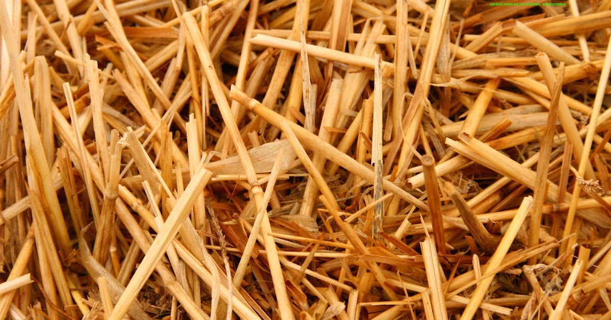 Life less hurried, living in the slow lane haybox cooking the original