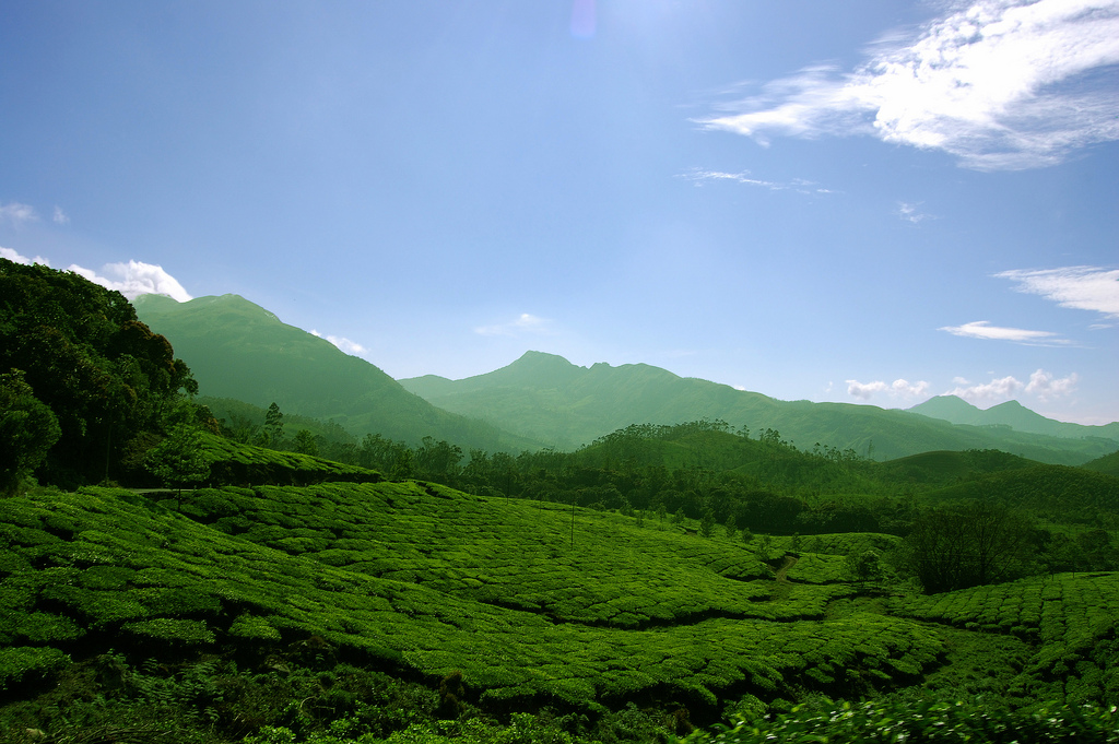 beauty of nature essay from india beauty of nature essay from india