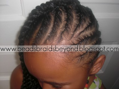 Flat Twists to the Side- Natural Hair Styles