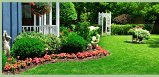 flowers for flower lovers.: July 2011