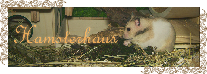 Hamsterhaus