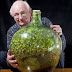 This Garden In A Bottle Has Been Thriving Since 1960: Sealed in its own ecosystem and watered just once in 53 years