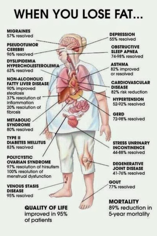 The Wealth of Health When you lose fat