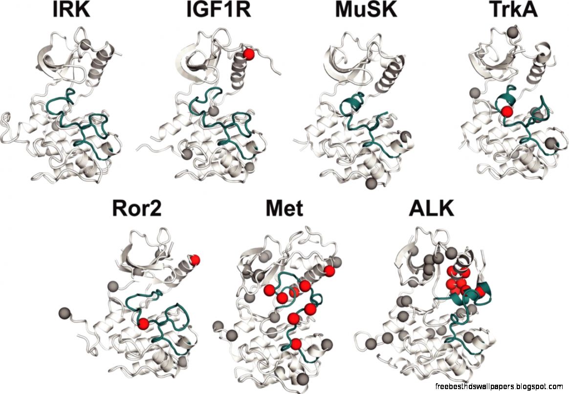 Biochemical Journal Biochemical Journal