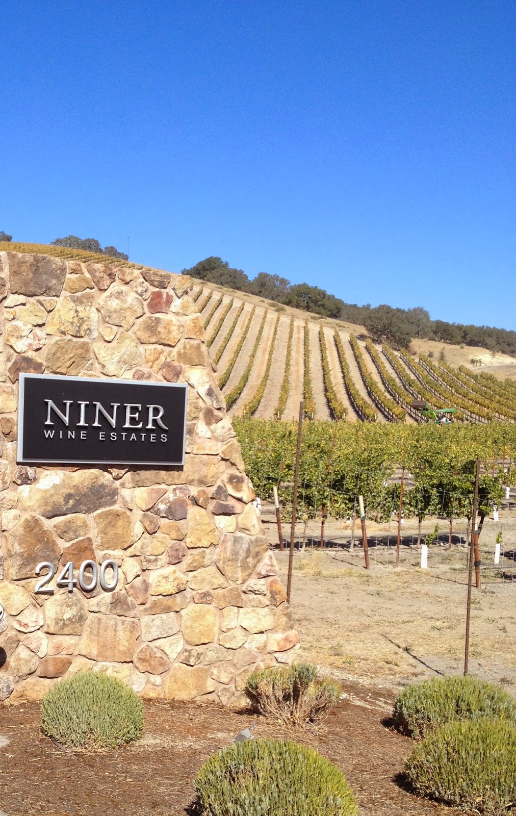 Wine Wrangling Woman Paso Robles Getaway Winery 3 Niner Wine Estates