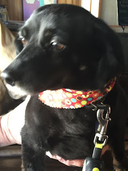 Jet Gets A Haircut