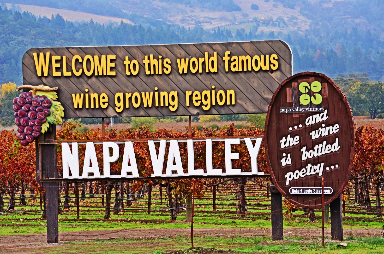 El San Carleño Napa Valley