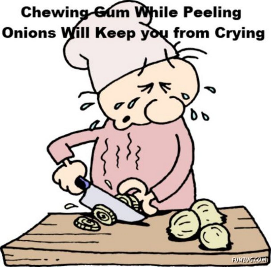 Chuck&rsquo;s Fun Page 2: Fun Facts of the day