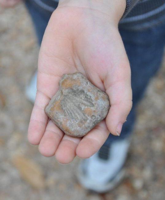 Fossil Hunting in Gravel Getting Lost in Louisiana