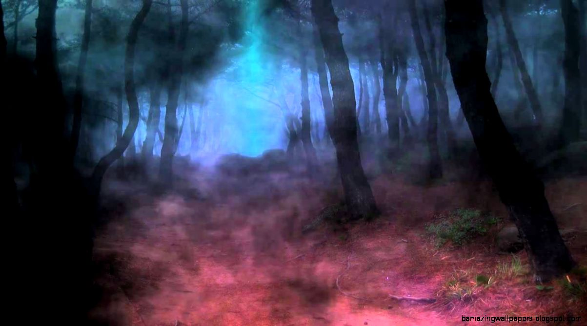 Dark Forest video designed by YouTube Dark Forest video designed by YouTube