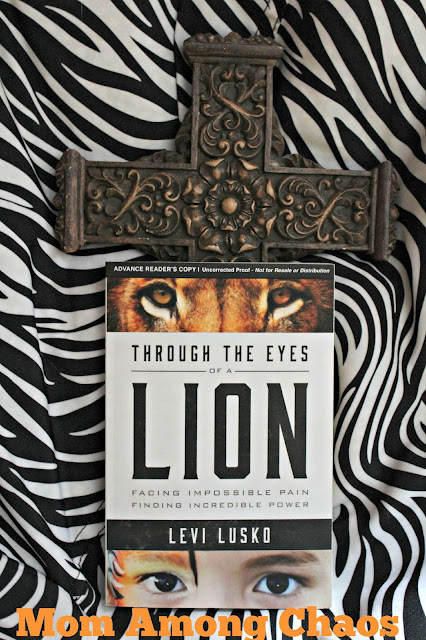 Through the Eyes of a Lion, Levi Lusko, lion, God, book review, #FCBlogger, family christian, soul, self help, 