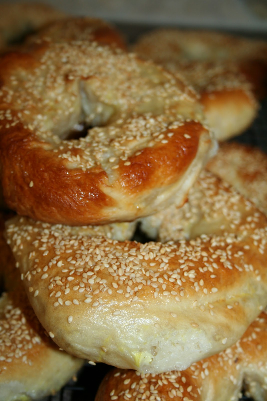 Living Pure and Simple Making Homemade Bagels using NonDiastatic Malt
