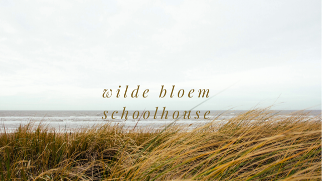 Wilde Bloem Schoolhouse
