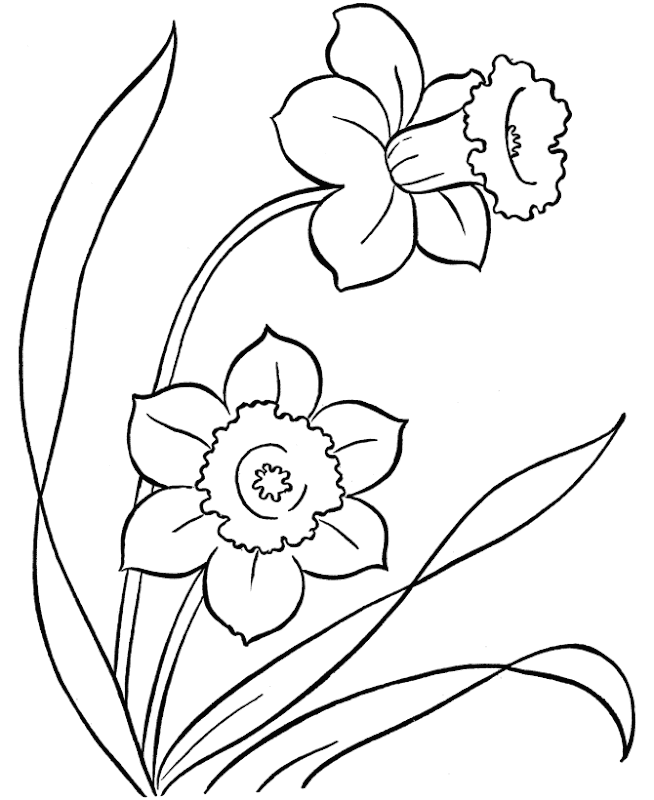 easter flower coloring pages download hq easter flower coloring pages  title=
