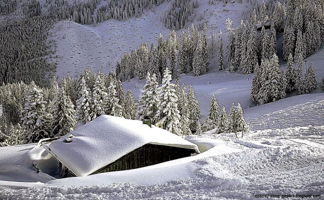 Gallery Popular Screensaver Best Free HD Wallpaper Gallery Popular Screensaver Best Free HD Wallpaper