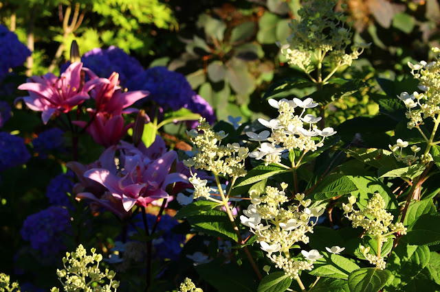 Archives Des Les Jardins De Monet Giverny News