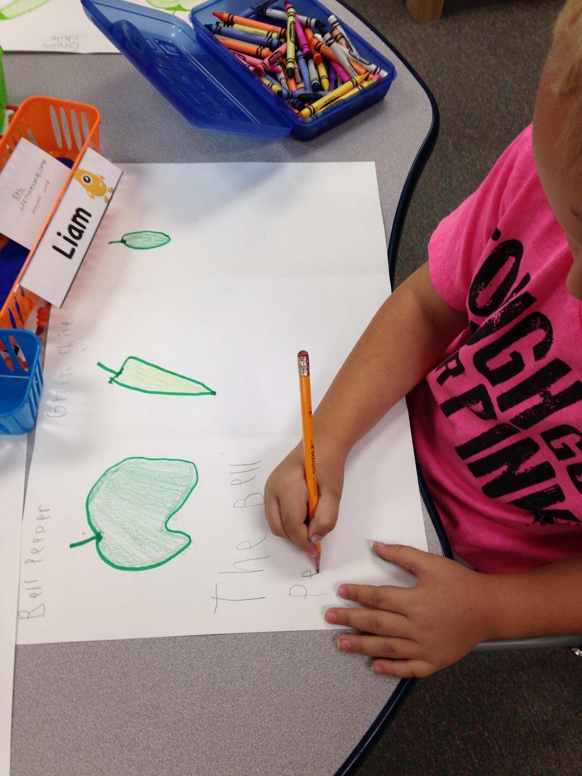 Scissors and Crayons GREEN Chile (aka Pepper Science Unit)