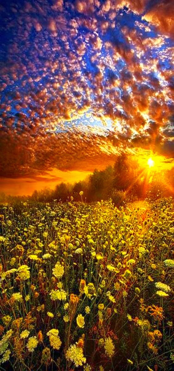 The Nicest Pictures Milwaukee, Wisconsin Horizons, USA