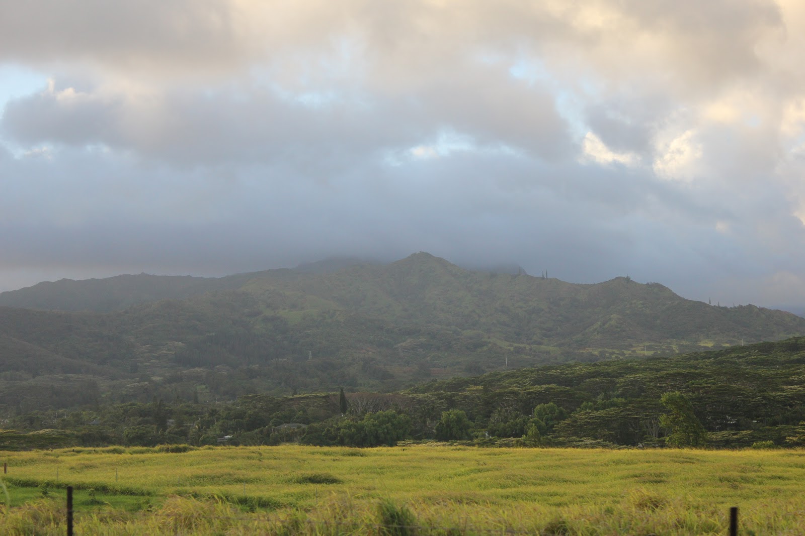 Art Inspiration Clown Soldier Artist Interview