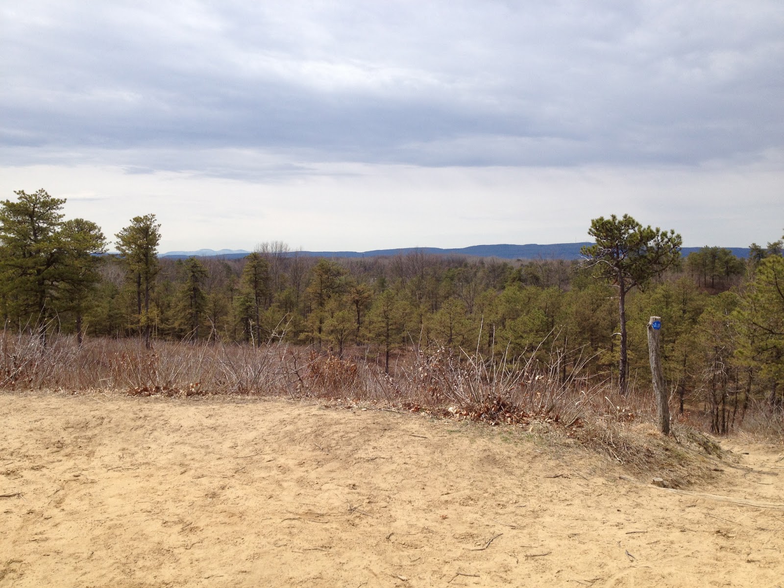 BirdingWeek Albany Pine Bush Preserve
