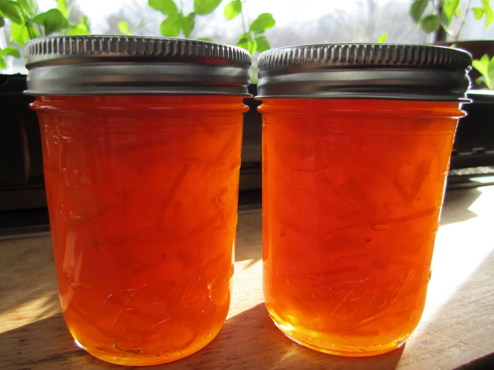 The Irish Mother ApricotOrange Marmalade