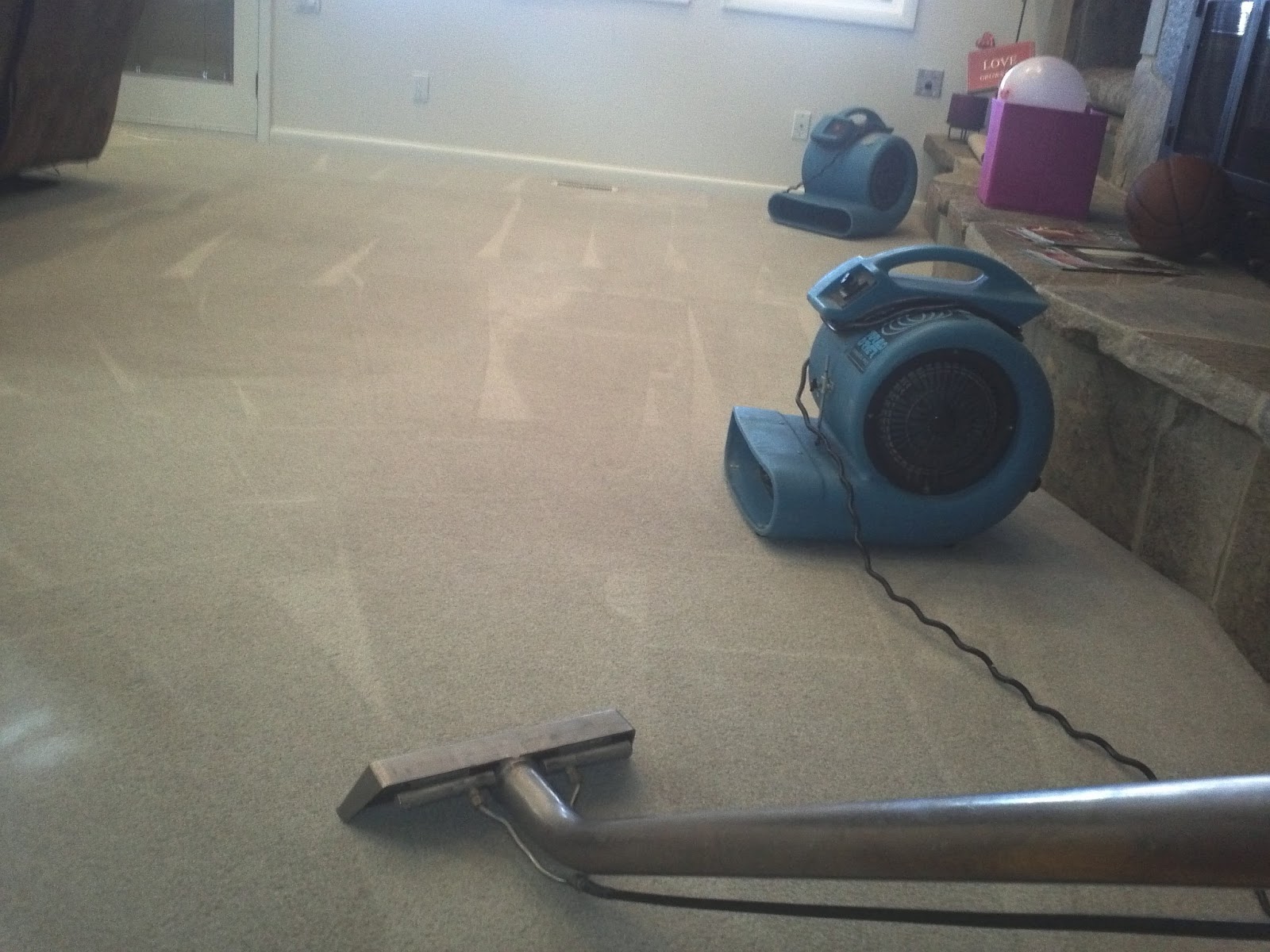 Alpine Professional Carpet Care UTAH COUNTY'S CARPET CLEANING SERVICE