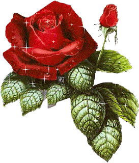 ورد ,صور ورد,صور ورود,Flowers Pictures,Roses Picture