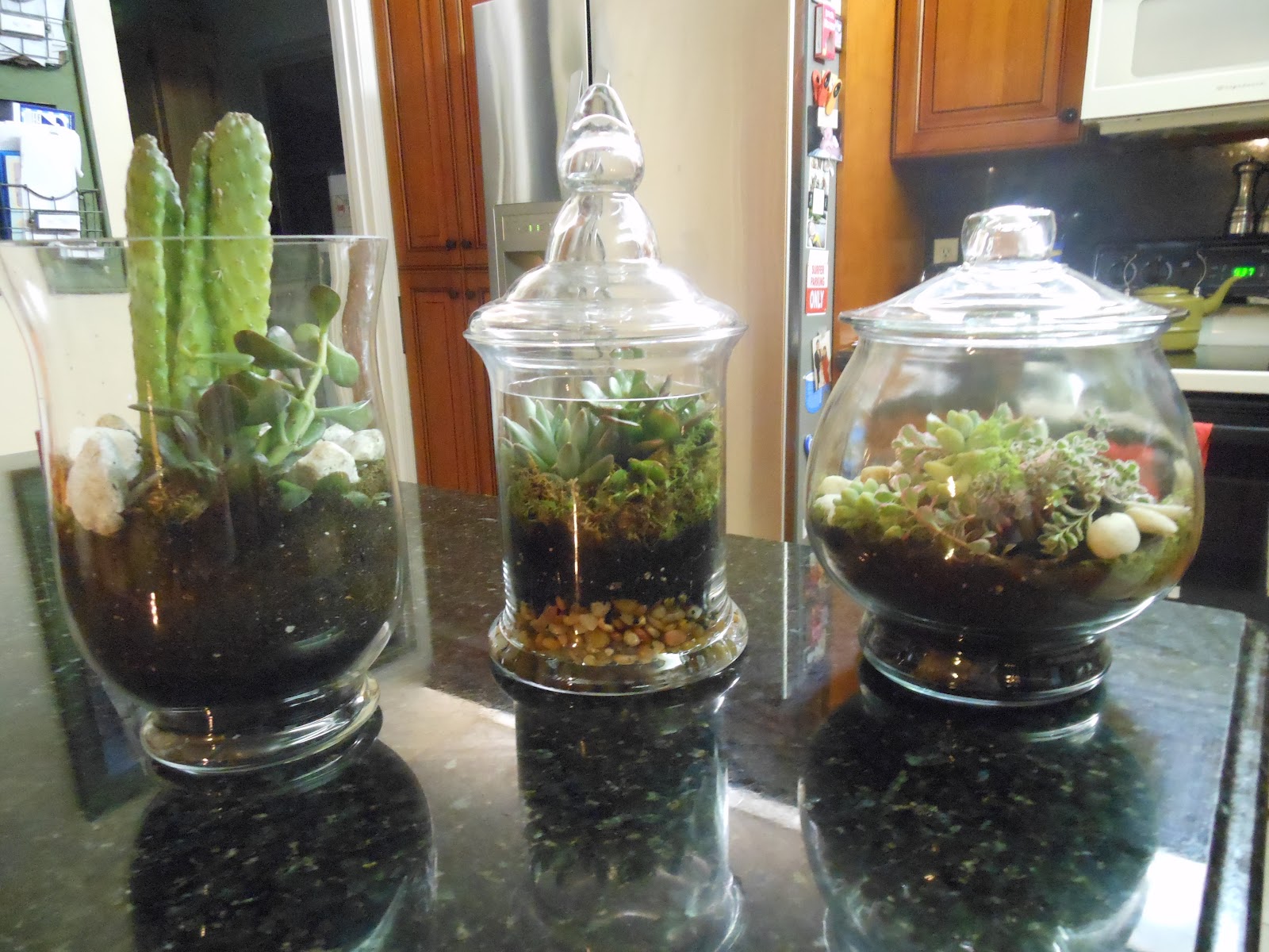 Better Together Garden in a Jar