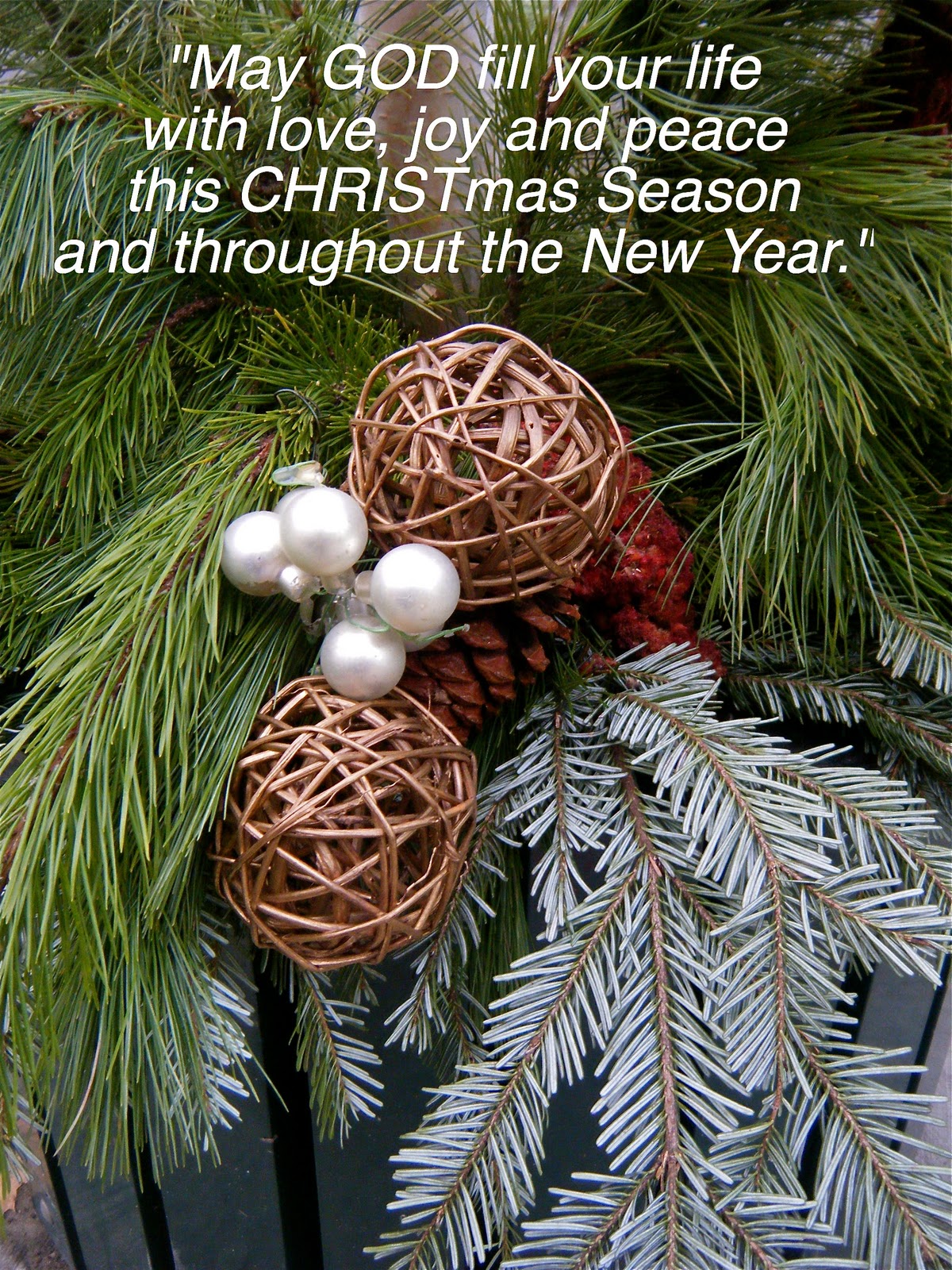 Flowery Blessing: "May God fill your life with love, joy and peace this CHRISTmas Season and ...