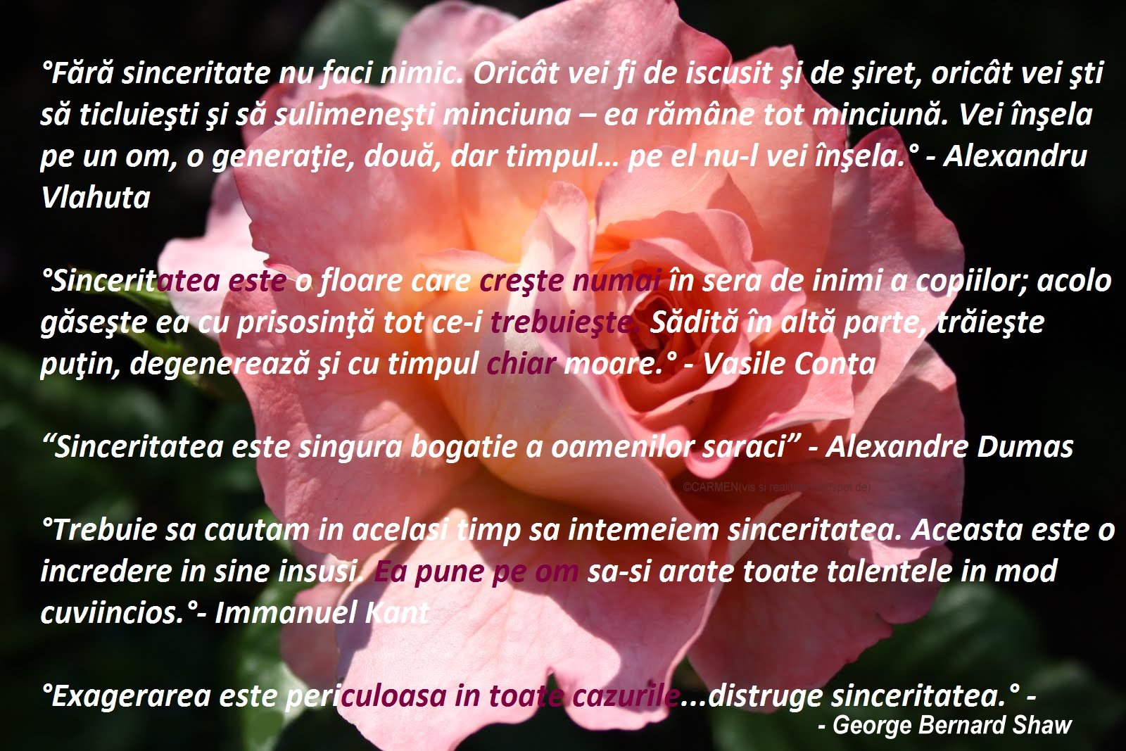 Între vis si realitate 2 octombrie 2011