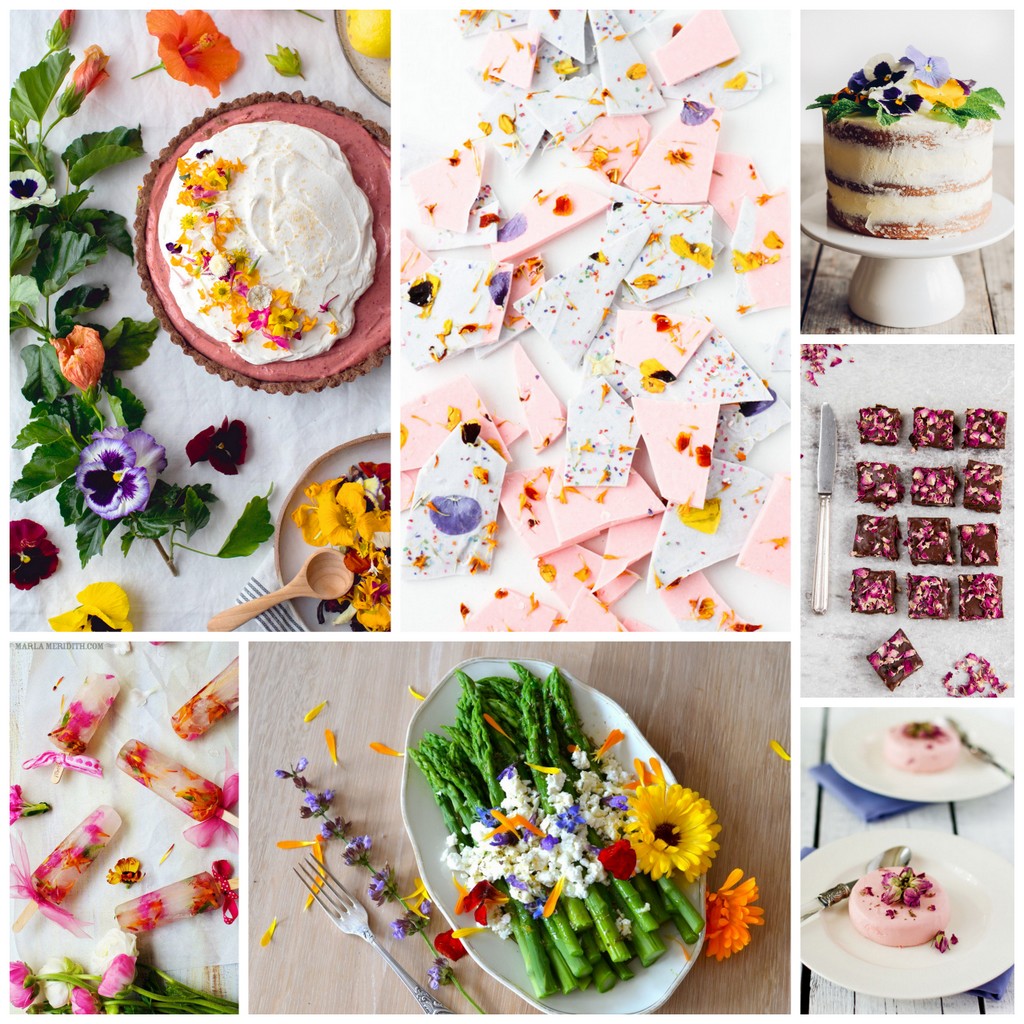 Creativity Unmasked Tasty Tuesday A Feast of Flowers Edible Flower