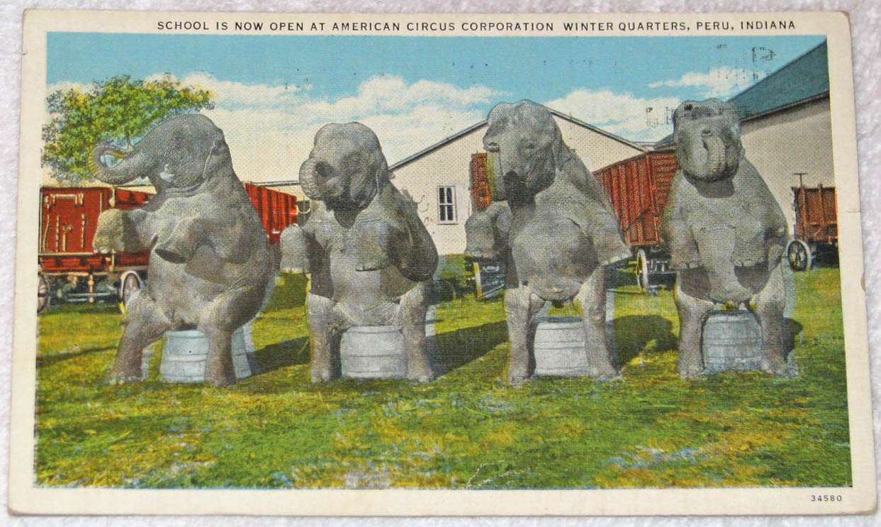 The Circus "NO SPIN ZONE" Peru Indiana Winterquarters